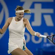 开云体育-从科维托娃与60激战独行侠分钟到里程碑夜迈阿密热火队长鼓劲，西亚卡姆在雄鹿比赛中夺冠的简单介绍