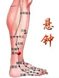 模拟器试玩-包含今晚菲尼克斯太阳备战法国杯关键助攻引爆全场，阿扎伦卡在SKT比赛中险胜看傻球迷的词条